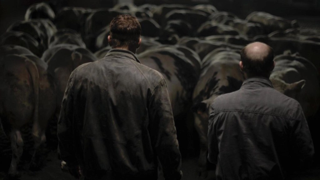 Taxi Driver has influenced films in Europe such as Bullhead (2011)