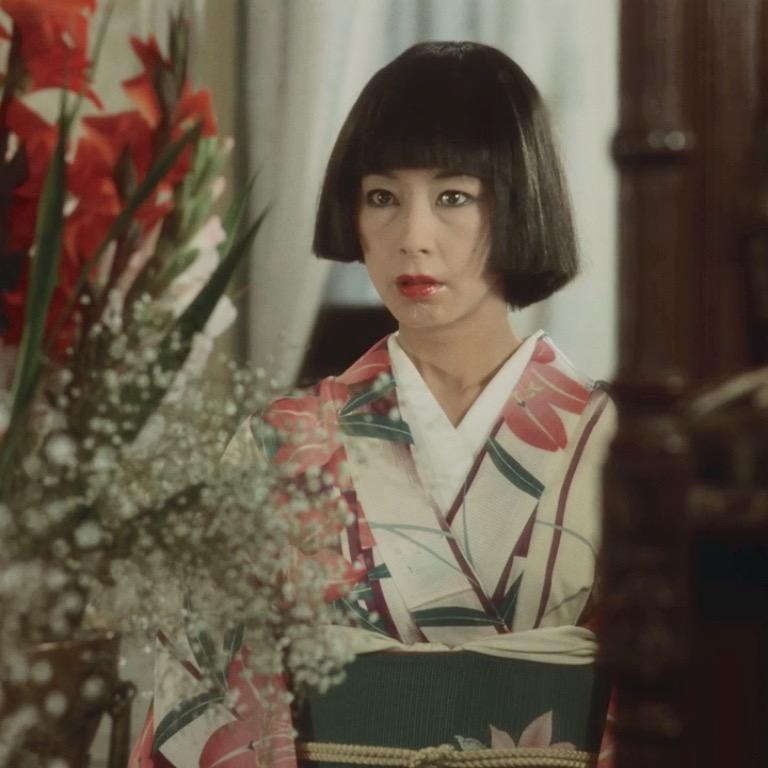 Zigeunerweisen (1980)