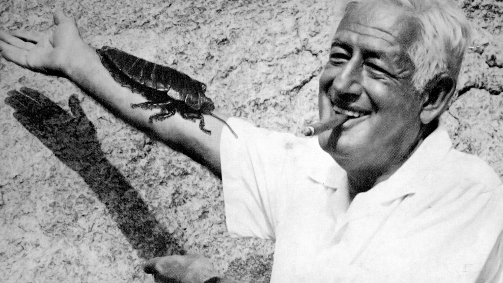 William Castle Cover Photo With Bug