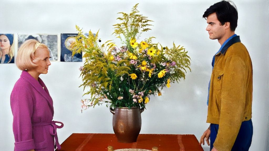 Still from Agnes Varda's Le Bonheur (1965)
